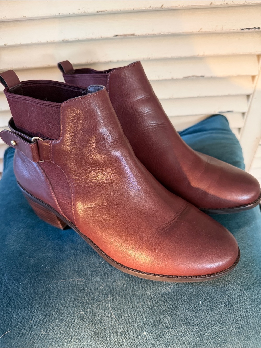 Cole Haan Women's Burgundy Leather Ankle Booties with Side Buckle